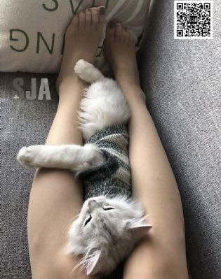 嫂子是我的女人_免费手机在线看观看
