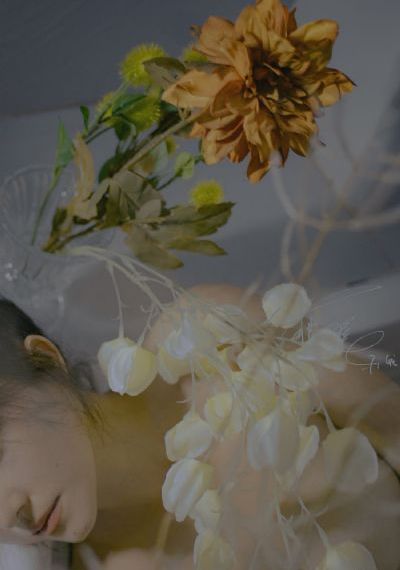 魁拔2_BD英语免费观看最新