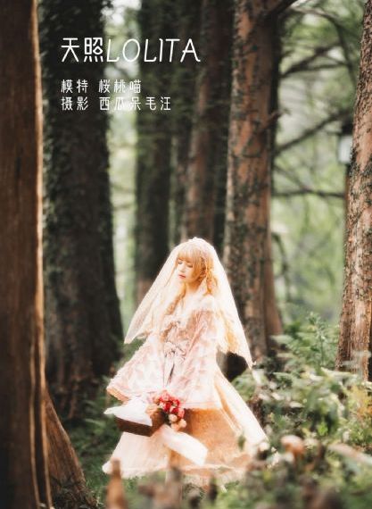 狙击电视剧免费全集_BD国语完整版观看